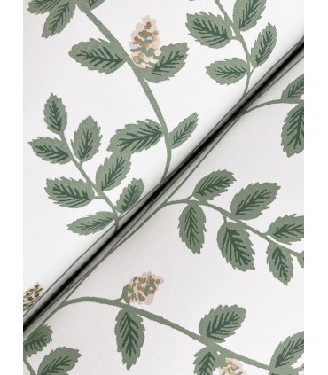 RF7424 - Climbing Vine Gold Wallpaper- Rifle Paper Co. 3