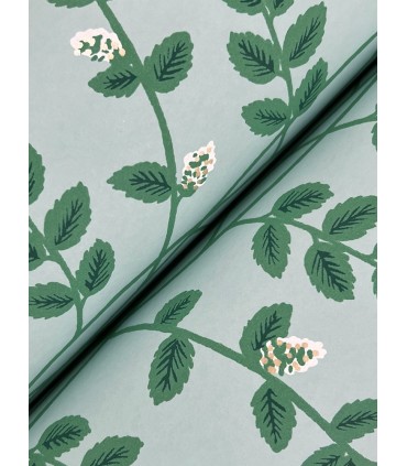 RF7421 - Climbing Vine Soft Teal Wallpaper- Rifle Paper Co. 3