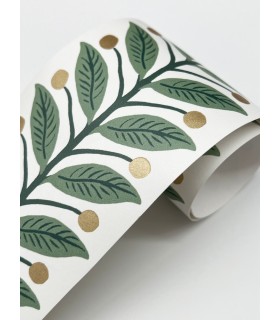 RF7531B - Green Garden Wallpaper Trim- Rifle Paper Co. 3