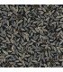 RF7462 - Willowberry Black Wallpaper- Rifle Paper Co. 3