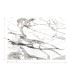 FM1109M - Imperial Marble Black & White Wall Mural-Formations by York