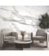 FM1108M - Imperial Marble Neutral Wall Mural-Formations by York