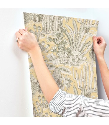 MT5635 - Lotus Land Cacti Sunshine Wallpaper-Montecito by York