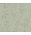 AB3064 - Allerton Bamboo Sage Wallpaper-Antonina Vella Artifacts