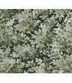 4147-80004 - Greenwood Dark Green Deciduous Wallpaper-Haberdashery by A Street