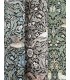 4171-82064 - Bird Brown Floral Thicket Wallpaper-Hidden Treasures Vol 2