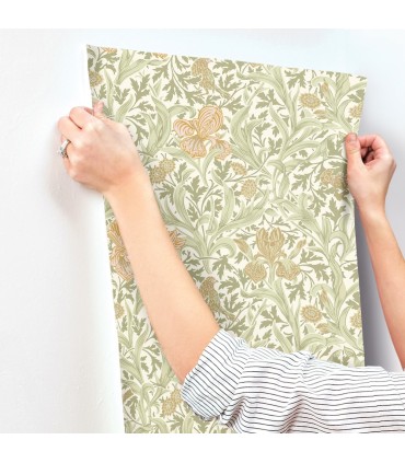 4171-82049 - Iris Light Green Wild Gardens Wallpaper-Hidden Treasures Vol 2