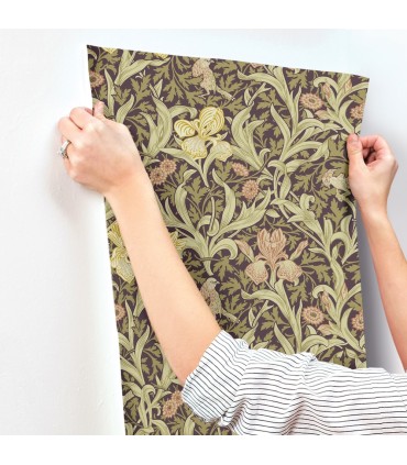 4171-82052 - Iris Plum Wild Gardens Wallpaper-Hidden Treasures Vol 2