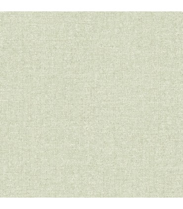 4148-27433 - Kameez Green Texture Wallpaper-Printworks by Chesapeake