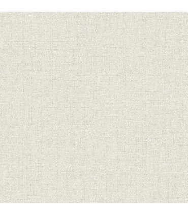 4148-27431 - Kameez Grey Texture Wallpaper-Printworks by Chesapeake