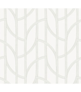 4172-82009 - Salvo Light Green Curved Contours Wallpaper-Sea Salt by A Street