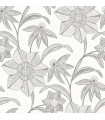 4172-27514 - Star Flower Charcoal Floral Trail Wallpaper-Sea Salt by A Street