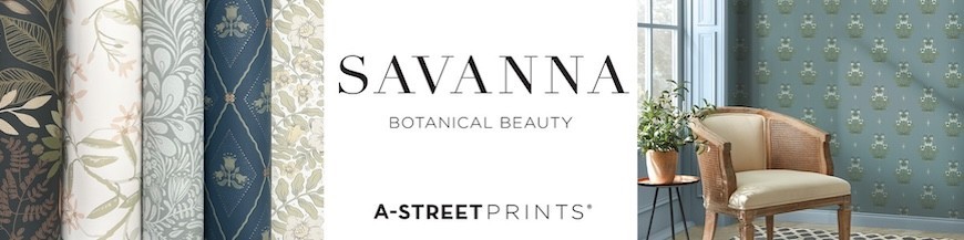 Savanna By A Street