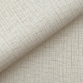 4195-5354 - Aden Beige Linear Abstract 54