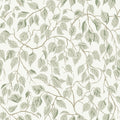 4201-20107 - Hangbjork Sage Vine Wallpaper-Savanna by A Street