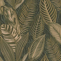 4202-751826 - Acacius Dark Green Tropical Foliage Wallpaper-Springhill by A Street