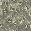 MH36520 - Manor House Wallpaper by Norwall-Peacock Feathers