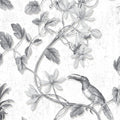 MH36529 - Manor House Wallpaper by Norwall-Tropical Birds