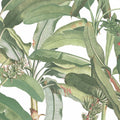 MH36534 - Manor House Wallpaper by Norwall-Tropical Banana Plant