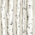 3118-12601 - Birch and Sparrow Wallpaper by Chesapeake-Pioneer Birch Tree