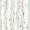 3118-12602 - Birch and Sparrow Wallpaper by Chesapeake-Pioneer Birch Tree