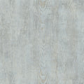 3118-12681 - Birch and Sparrow Wallpaper by Chesapeake-Drifter Wood