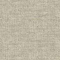 CY1557 - Conservatory Wallpaper by York-Papyrus Weave