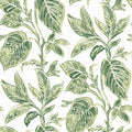 3120-13621 - Sanibel Sun Kissed Wallpaper by Chesapeake-Mangrove Botanical