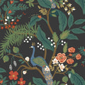 4212-84427 - Peacock Charcoal Wallpaper-Rifle Paper Co. 4th Edition