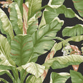 PSW1035RL - York Premium Peel and Stick Wallpaper-Banana Leaf