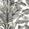 PSW1037RL - York Premium Peel and Stick Wallpaper-Banana Leaf
