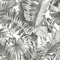 2969-24134 - Pacifica Wallpaper by A Street-Alfresco Tropical Palm
