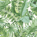 2969-24136 - Pacifica Wallpaper by A Street-Alfresco Tropical Palm