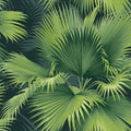 2927-40104 - Newport  Wallpaper by A Street-Summer Tropical Palm