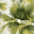 2927-40114 - Newport  Wallpaper by A Street-Summer Tropical Palm