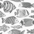 2927-80200 - Newport  Wallpaper by A Street-Wailea Tropical Fish