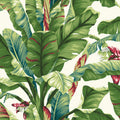 AT7068 -Banana Leaf Wallpaper-Tropics Resource Library