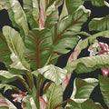 AT7071 -Banana Leaf Wallpaper-Tropics Resource Library