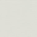 TC2661 -Boucle Wallpaper-Tropics Resource Library