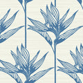 TC2671 - Bird Of Paradise Wallpaper-Tropics Resource Library