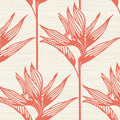 TC2676 - Bird Of Paradise Wallpaper-Tropics Resource Library