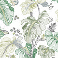 RMK11585RL - Boho Palm Peel and Stick Wallpaper