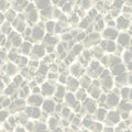 HO2163 - Leopard Rosettes Wallpaper by Ronald Redding
