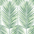 MB30034 - Palm Leaves Wallpaper by Seabrook