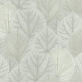 OS4246 - Leaf Concerto Wallpaper by Candice Olson Modern Nature 2