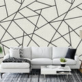 ASTM3914 - Modern Lines Black on Dove Grey Wall Mural