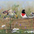 3123-44671 - Flock Multicolor Menagerie Border by Chesapeake