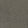 DD3751 - Weathered Cypress Wallpaper- Dazzling Dimensions 2