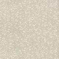 DD3754 - Weathered Cypress Wallpaper- Dazzling Dimensions 2