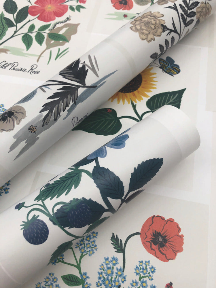 Rifle Paper Co Botanical Prints Wallpaper - Thumbnail 3